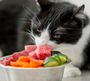 From Bowl to Better Health