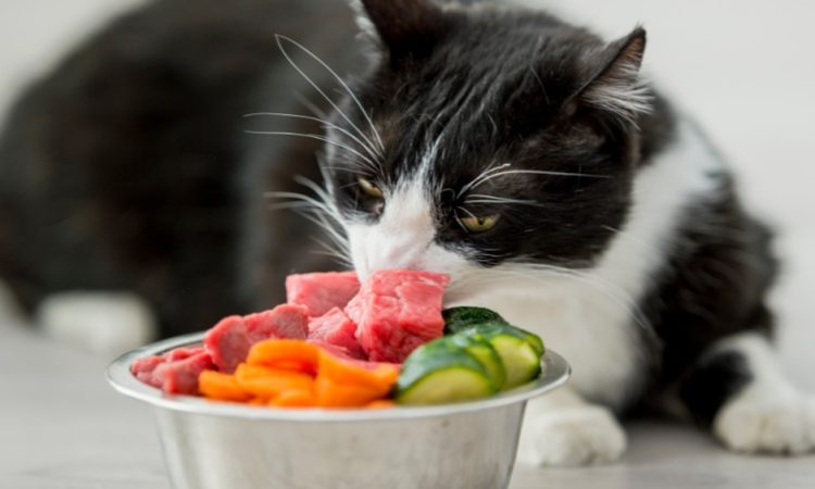 From Bowl to Better Health