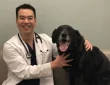 Westlake Village Vet